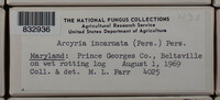 Image Associated With the Occurence